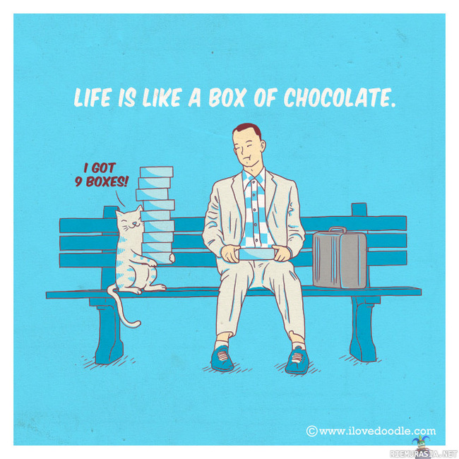 Life is like box of chocolate