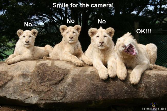 Hymyile kameralle