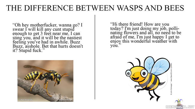 Ampiaiset ja mehiläiset