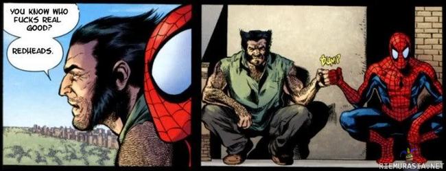 Wolverine & Spiderman
