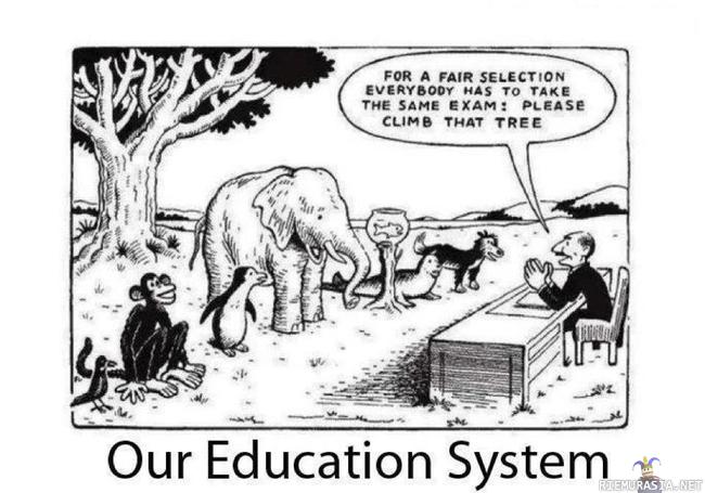Koulutusjärjestelmä