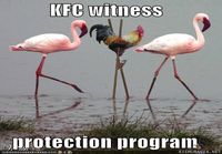 kfc todistajan suojeluohjelma