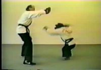 Karate simpanssi