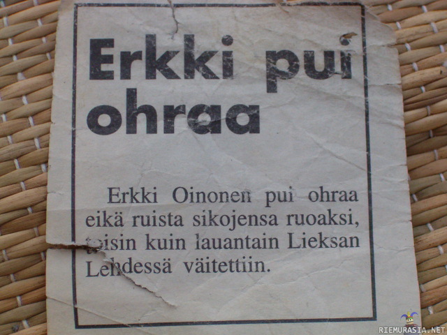 Erkki pui ohraa