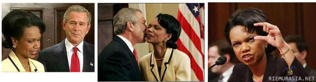 Rakkaustarina - Bushin ja Ricen rakkaussuhde tiivistettynä kolmeen kuvaan