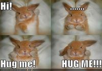 Hug me!