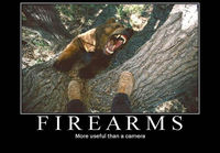Fire arms