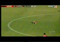 Koira keskeyttää jalkapallo-ottelun