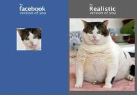 Facebook Vs Reality