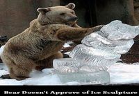 Bear Doesn\'t Approve of Ice Sculpture