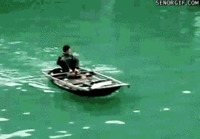 They See Me Rowing