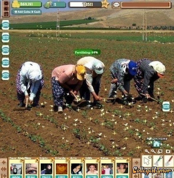 Real Life Farmville