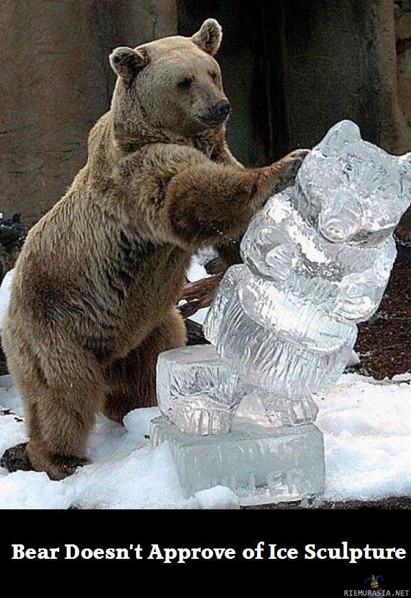 Bear Doesn&#039;t Approve of Ice Sculpture