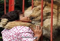 Leijonan suudelma