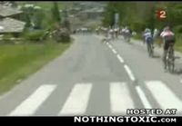 Cyclist Hits a Carefree Dog During the Tour de France