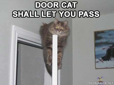Door Cat..