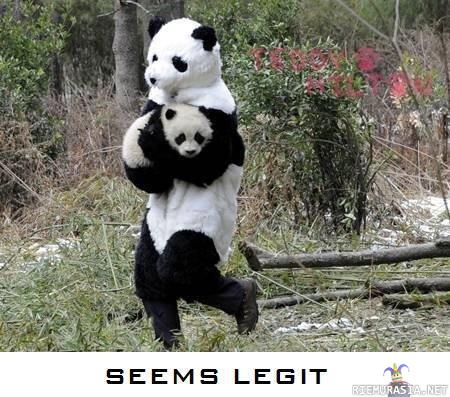 Panda turvaan