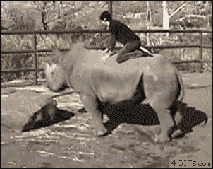 Rhino-Ride