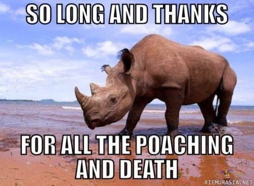 Kiitos. - http://www.dailymail.co.uk/news/article-2490777/Western-Black-rhino-officially-extinct-Northern-White-Javan-rhinos-follow-unless-conservationists-warn.html