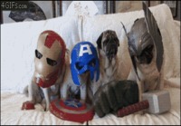 Mopsit & The Avengers