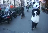 Pandan voima