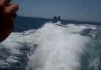 Miekkavalas jahtaa venettä