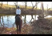 Hevonen ei halua mennä veteen