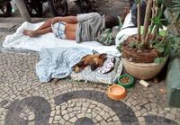 Brasilialainen koditon antaa peiton koiralleen mielummin kuin itselleen