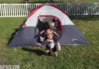 Vaarallinen teltta