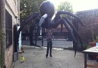 Iso hämähäkki