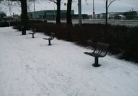 Suomalainen puisto