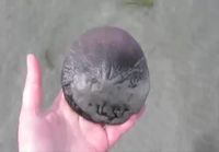 Eräänlainen merisiili