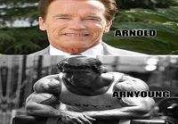 Arnold&Arnyoung