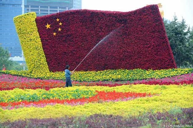 Seinä jossa kukkia - Ja kiina