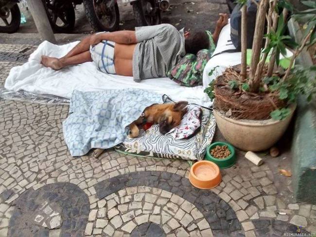 Brasilialainen koditon antaa peiton koiralleen mielummin kuin itselleen - Myös ruoka, ja vesikippo täynnä :)
Copacabana, Rio de Janeiro