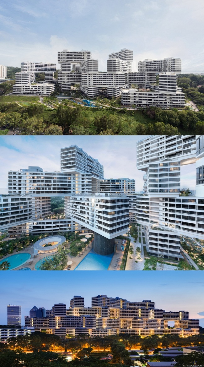 The Interlace