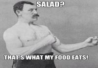 Salaatti?