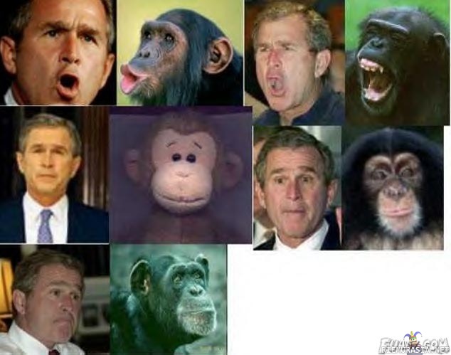 jaa Bushko muka apina? - älkää naurattako