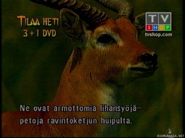 Ei näin - Tvshop tietää :D