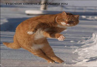 Traction control cat
