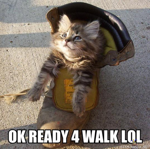 Ok Ready 4 Walk Lol - Lol :D
