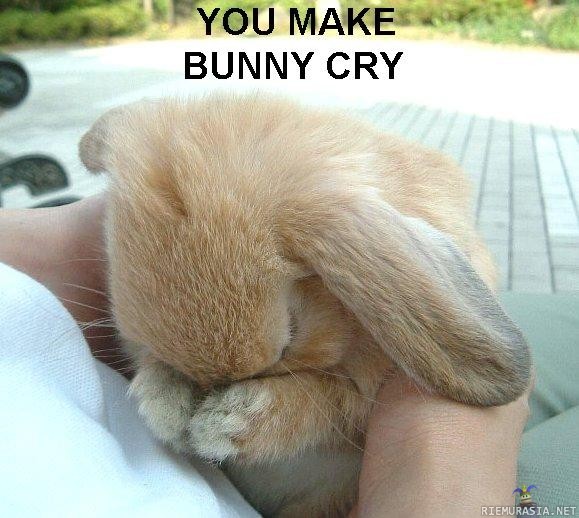 you make bunny cry