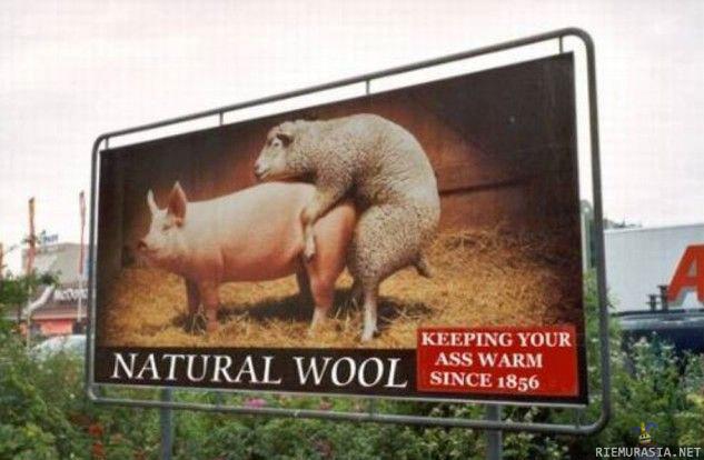 Natural wool - Asia mainos?