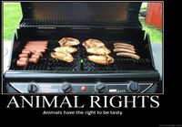 Eläinten oikeudet