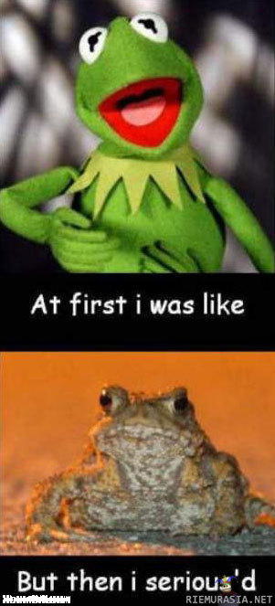 Serious Kermit - i serious´d