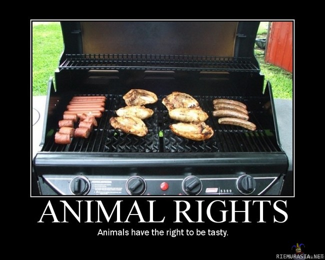 Eläinten oikeudet