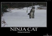 ninja kissa