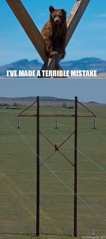 Terrible mistake