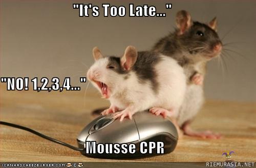 Mouse cpr