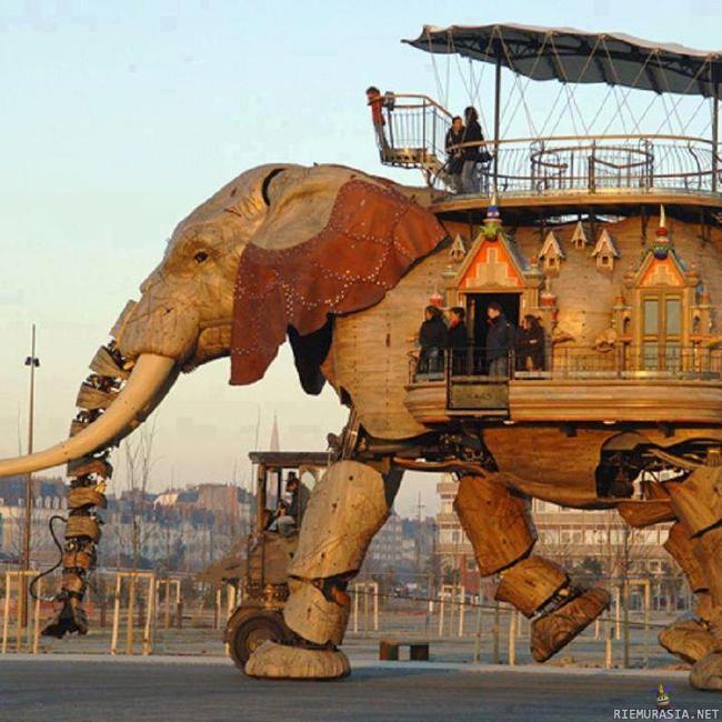 The Great Artificial Elephant - This is a robotic miracle. Made from 45 tons of recycled materials, measuring 12 meters high and 8 meters wide. It can carry up to 49 passengers!